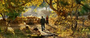 L'actor protagonista de The wild pear tree, Auydin Mücke Niesytka, es troba amb una noia del poble