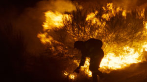 ARXIU | Una escena de O que arde, d’Oliver Laxe, amb un incendi real a Galícia