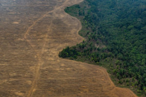 VICTOR MORIYAMA/THE NEW YORK TIMES | Una zona boscosa quemada por cultivadores de soja en Porto Velho, Estado de Rondônia, en el Amazonia brasileño