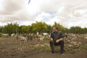 CELIA MACÍAS | Emulant un dels seus poetes referents, Miguel Hernández, Contreras es va fotografiar envoltat com el pastor d'un ramat