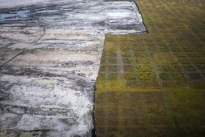 IAN WILLS/PANOS PICTURES | Destrucción de la cubierta vegetal para la explotación de petróleo de esquisto en Fort Hills, Alberta, a cargo de Suncor, Total y Teck