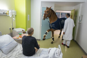 JÉRÉMY LEMPIN/DIVERGENCE | Fotografía de la serie Doctor Peyo i Mister Hansen, donde un caballo autista pero hipersensible se despide de los pacientes terminales de cáncer que él mismo escoge en un hospital de Calais, al norte de Francia