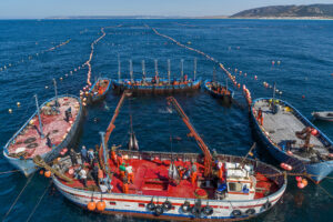 GEORGE STEINMETZ | Dispositiu de pesca de la tonyina vermella amb el sistema mil·lenari de l'almadrava, a l'estret de Gibraltar, que Steinmetz va fotografiar durant la campanya del 2018, en què encara hi havia un topall de 1.440 tones anuals i que ara s'ha flexibilitzat perquè s'ha reproduït l'espècie