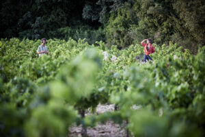 CHRISTOPHE RAYNAUD DE LAGE | La pièce mise en scène par la Française Émile Rousset dans les vignes de Pujaut, dans le cadre de Paysages partagés au dernier Festival d'Avignon, sur l'agriculture non intensive et avec des producteurs locaux jouant le rôle d'acteurs improvisés